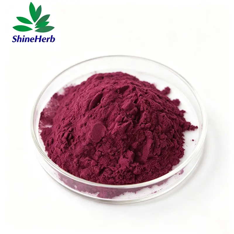 China Wholesale Kaempferia Parviflora Extract Powder Black Ginger Extract Company, Factory