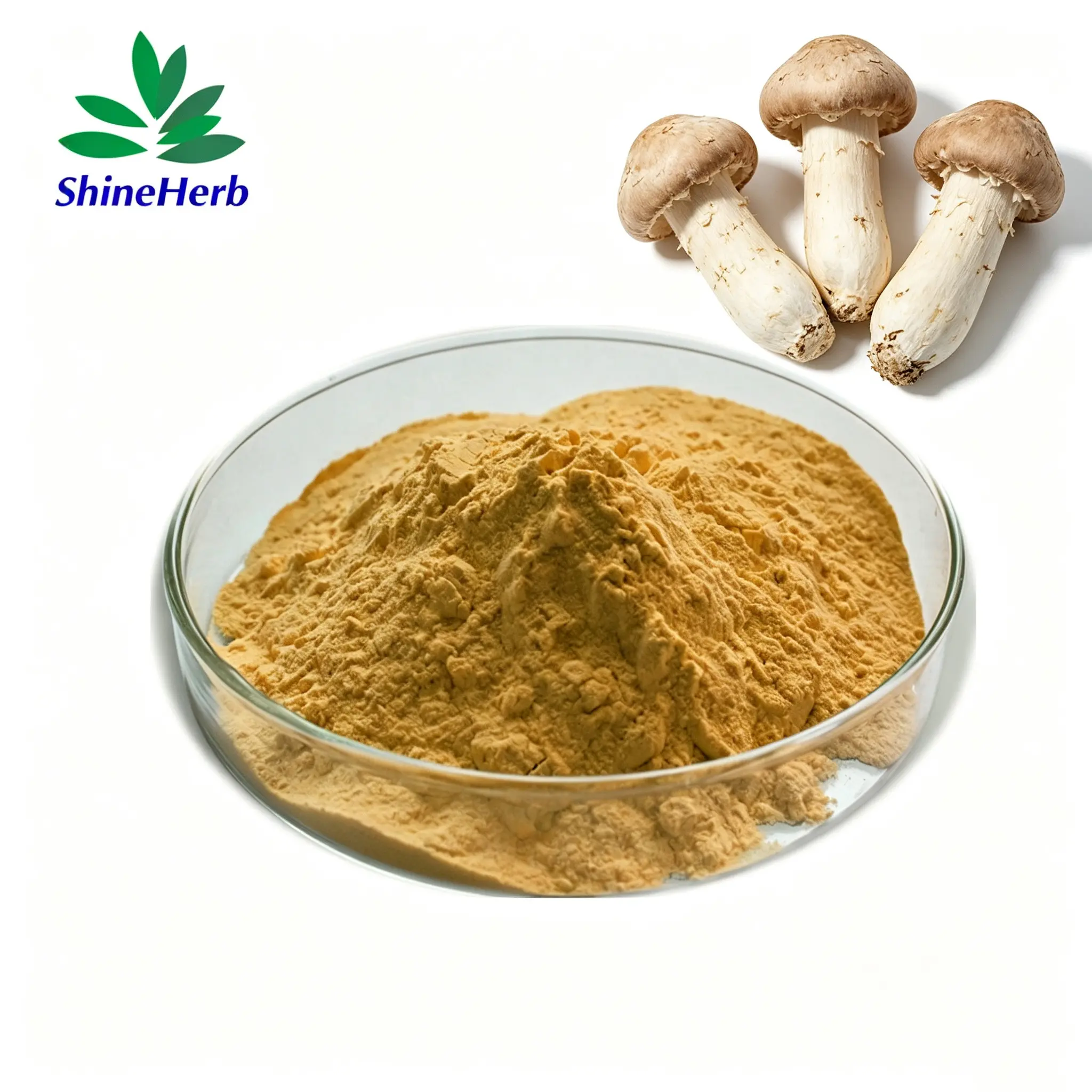 Buy Coprinus Comatus Extract Natural Shaggy Mane Extract Raw Material For Supplements Exporters, Exporter