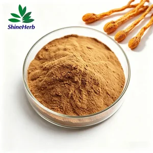 Buy Shineherb Supplies Cordyceps Militaris Extract Powder Supplier, Companies