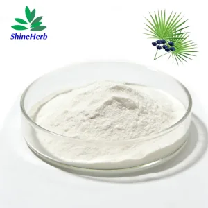 Saw Palmetto Extract