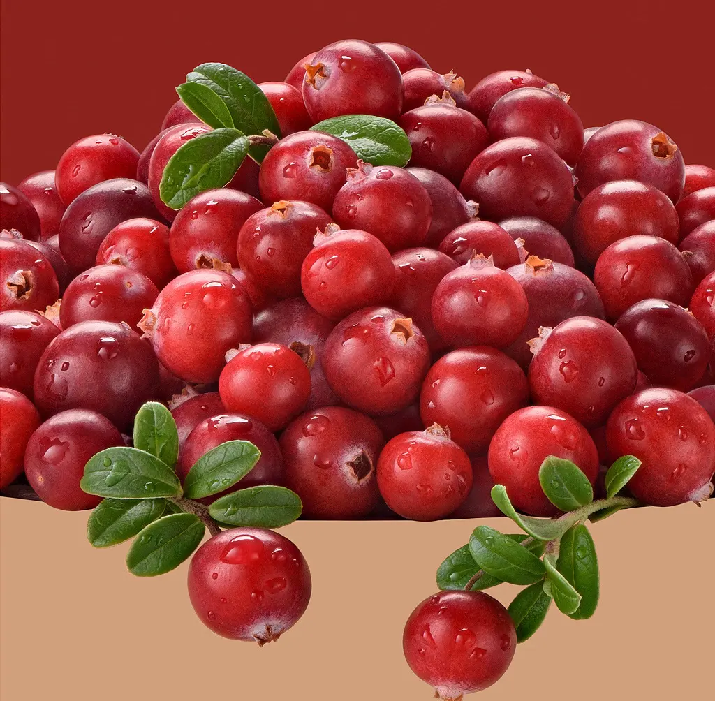 Buy Cranberry Extract Powder 25% Anthocyanins Factory Wholesale Price Manufacturers, Companies