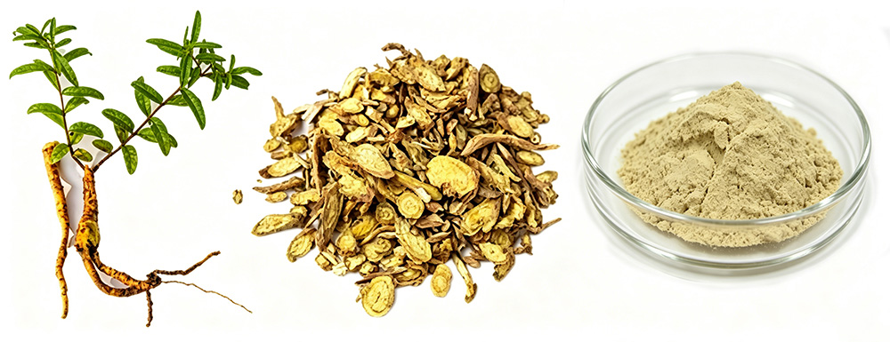 baicalin-3