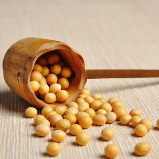 China Natural Phytosterols Powder Food Grade Plant Sterols for Supplement Suppliers, Companies
