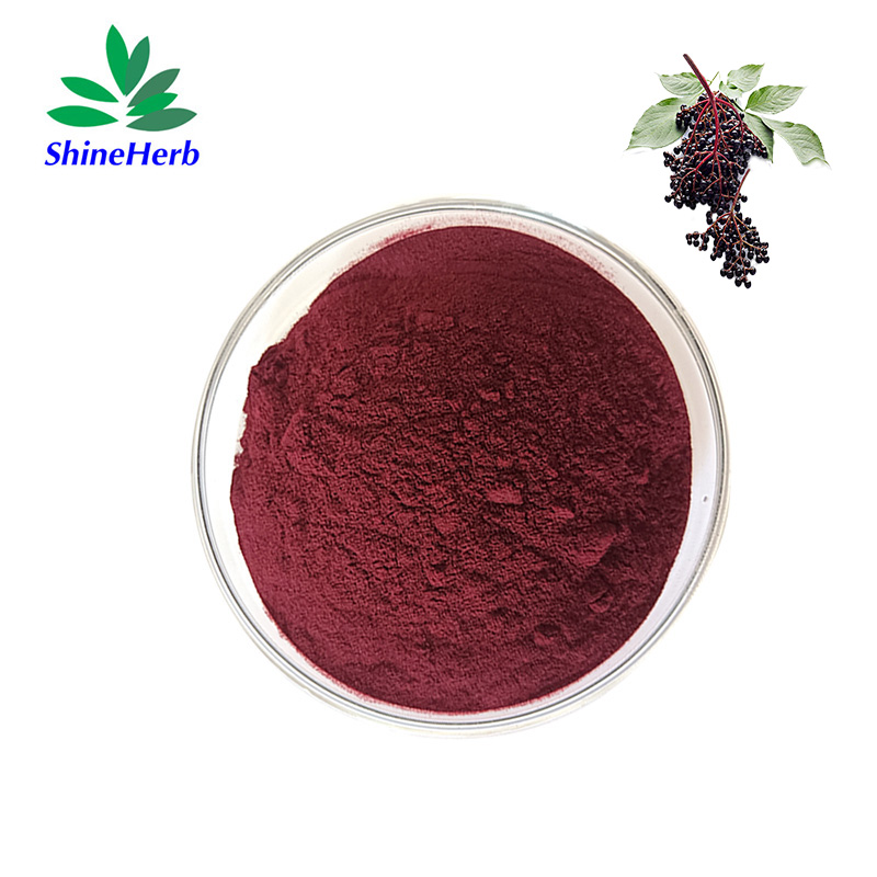 elderberry-extract-1