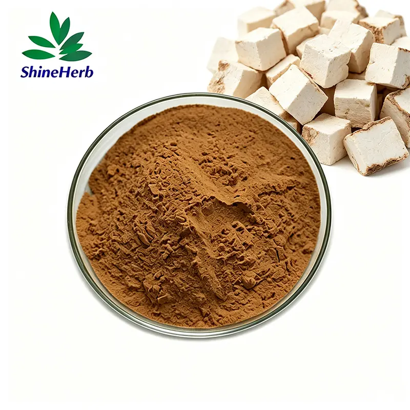 Wholesale Factory Supply Poria Cocos Extract Dietary Supplement  Company, Factories