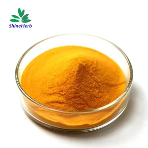 Coenzyme Q10 Ubiquinol