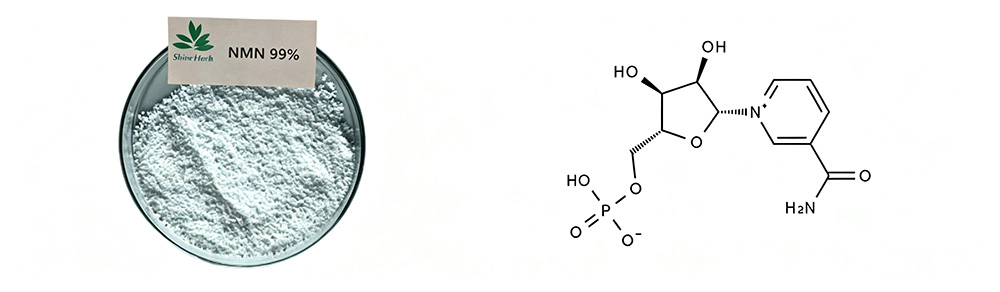 NMN Powder Supplement