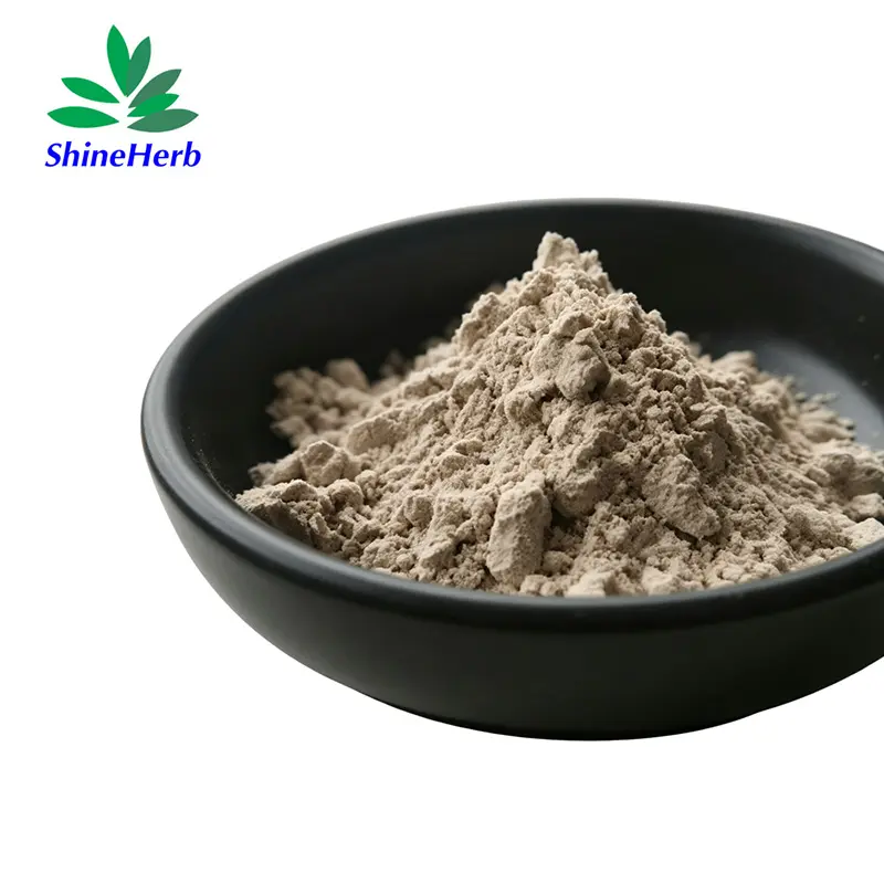 High-Quality Bulk Psyllium Husk Powder for Loss Weight Ingredient Companies, Exporter