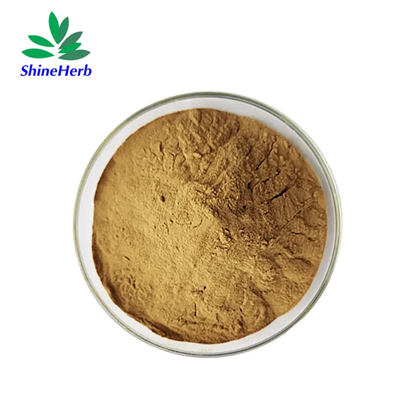 High-Quality Passion Flower Extract Flavonoids 2% 4% Factory Supply Manufacturers, Suppliers