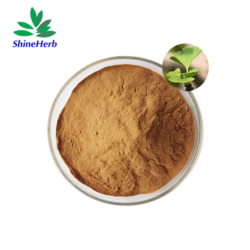 ginkgo-biloba-extract-1