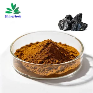 Shilajit Extract Powder
