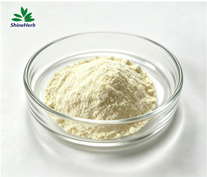 vitamin-a-palmitate-1