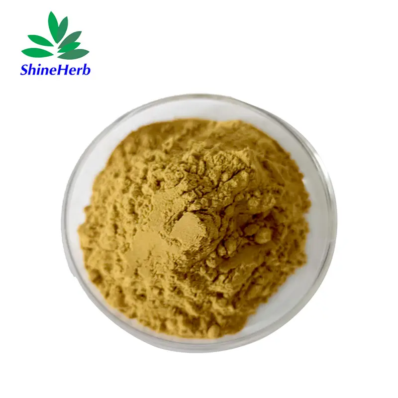 Best Factory Supply Andrographolide andrographis paniculata extract powder Manufacturer, Factory