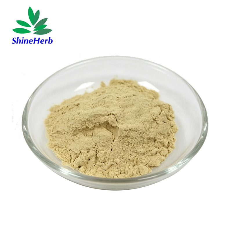 wheat-germ-extract-2