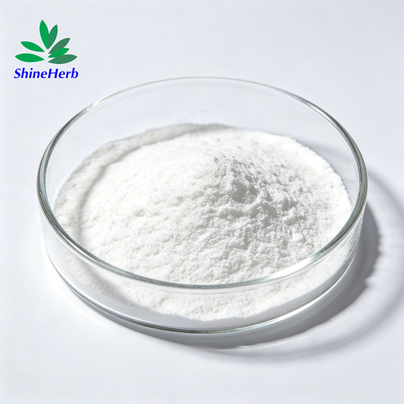 Magnesium Malate Powder