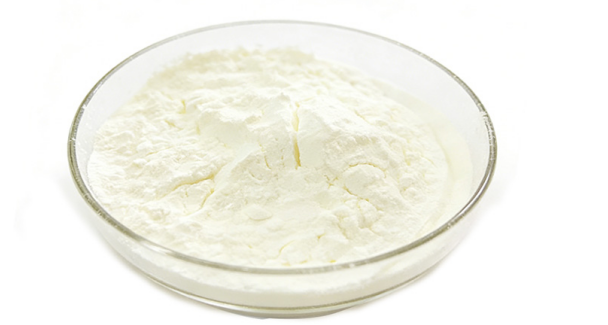 latilactobacillus-sakei-2