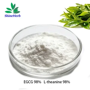 Green Tea Extract EGCG