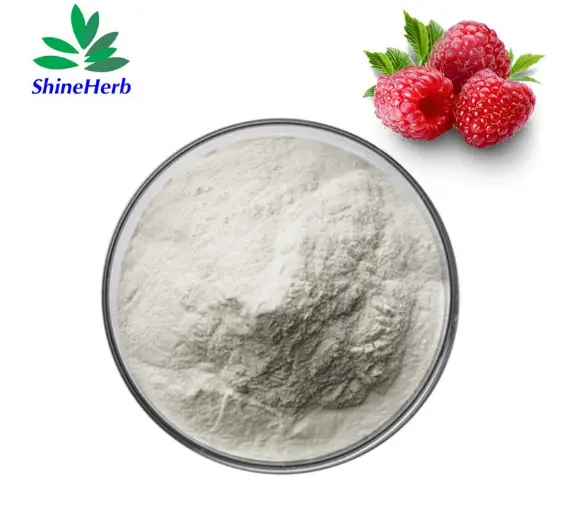 Best Raspberry Extract Raspberry Powder Bulk Wholesale Company, Exporter