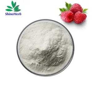 Best Raspberry Extract Raspberry Powder Bulk Wholesale Company, Exporter