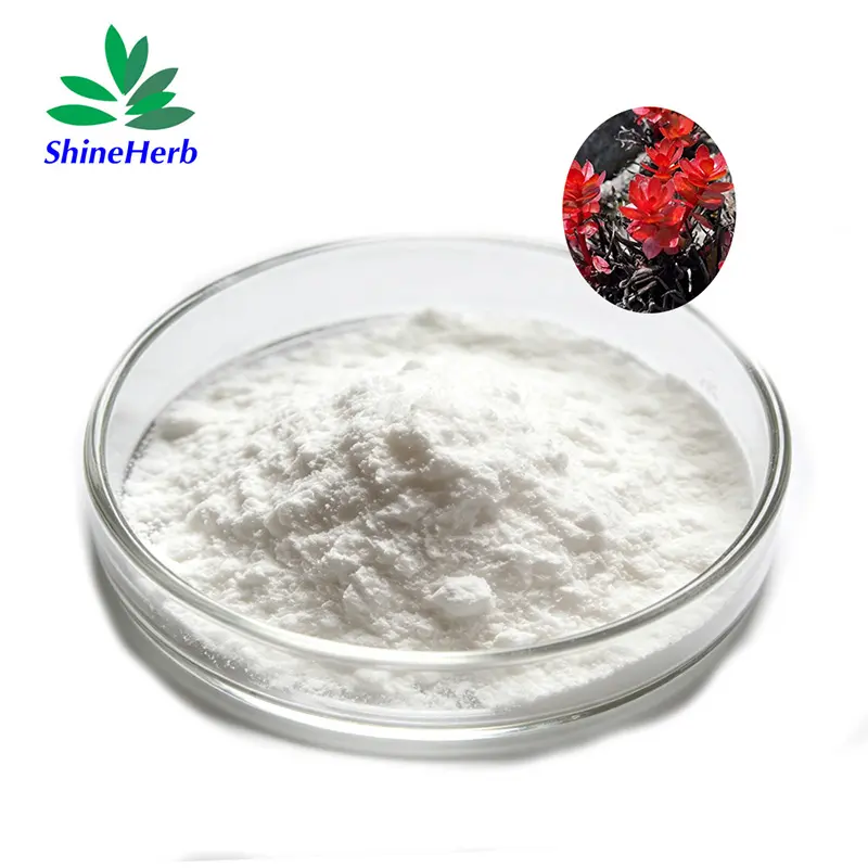 China Rhodiola Rosea Extract High quality Salidroside & Rosavins supplier Exporters, Exporter