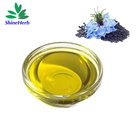 Best Wholesale Nigella Sativa Extract Pure Natural 5% 10% Thymoquinone Suppliers, Company