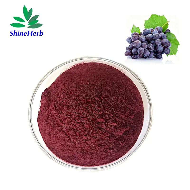 China Natural Grape Seed Extract Powder 95% Proanthocyanidin for Anti-Aging Skincare Exporters, Exporter