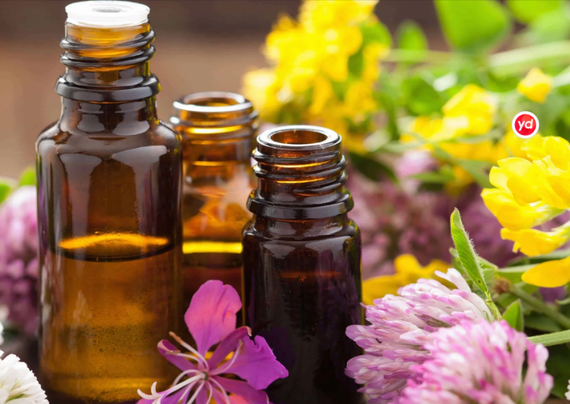 Acacia bark extract applications