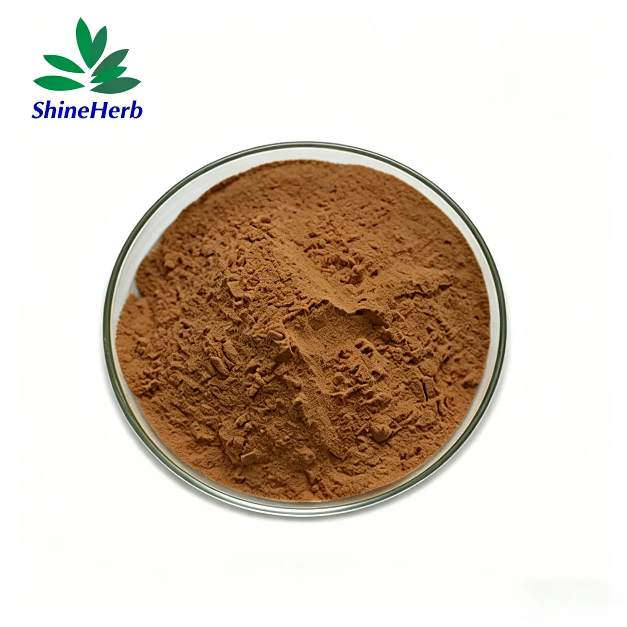 High-Quality Lemon Balm Extract powder/ Melissa Extract Factory price Exporters, Factory