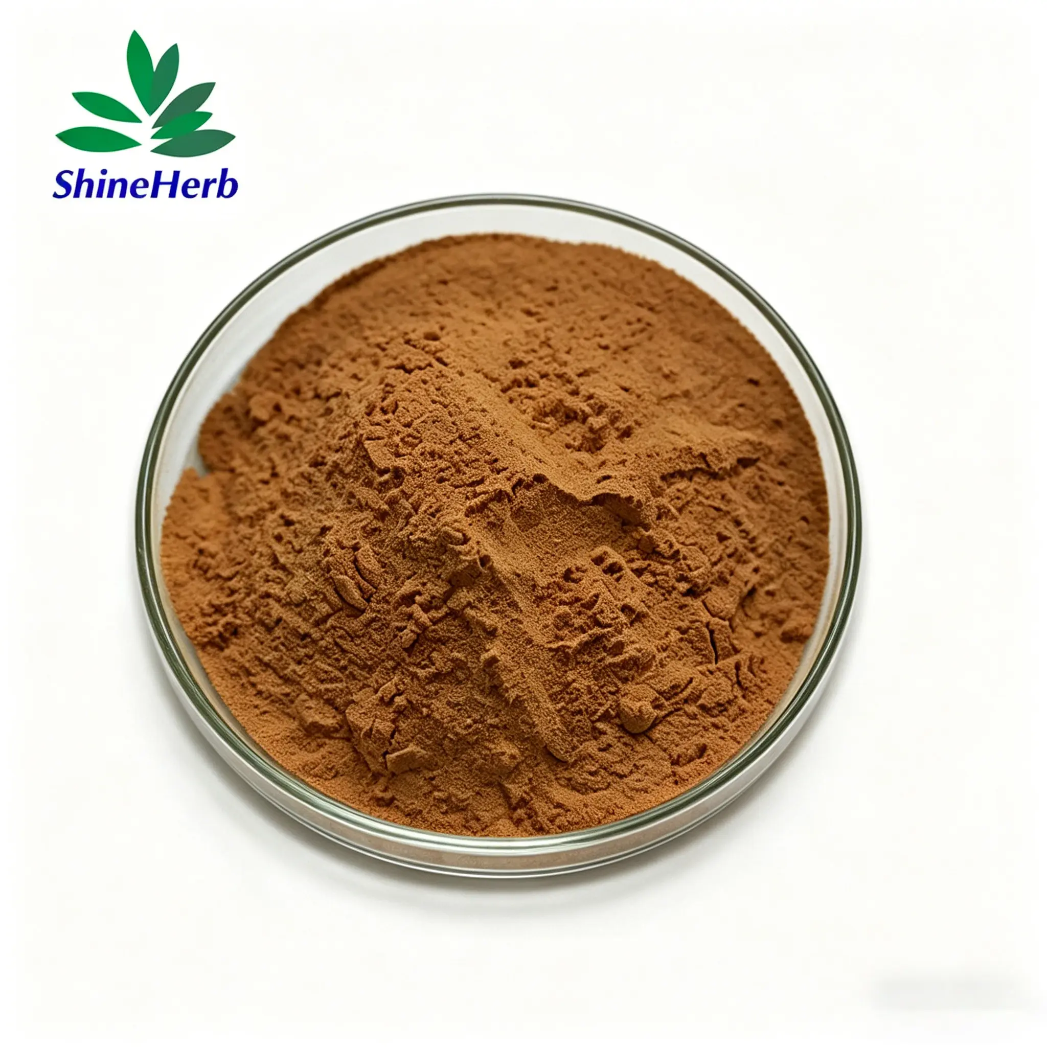 High-Quality Lemon Balm Extract powder/ Melissa Extract Factory price Exporters, Factory