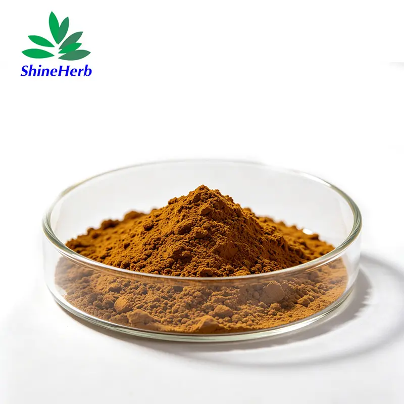High-Quality 2%-40% Turkesterone supplier Natural Ajuga Turkestanica Extract Supplier, Factory