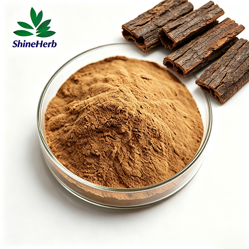 pygeum-africanum-extract-1