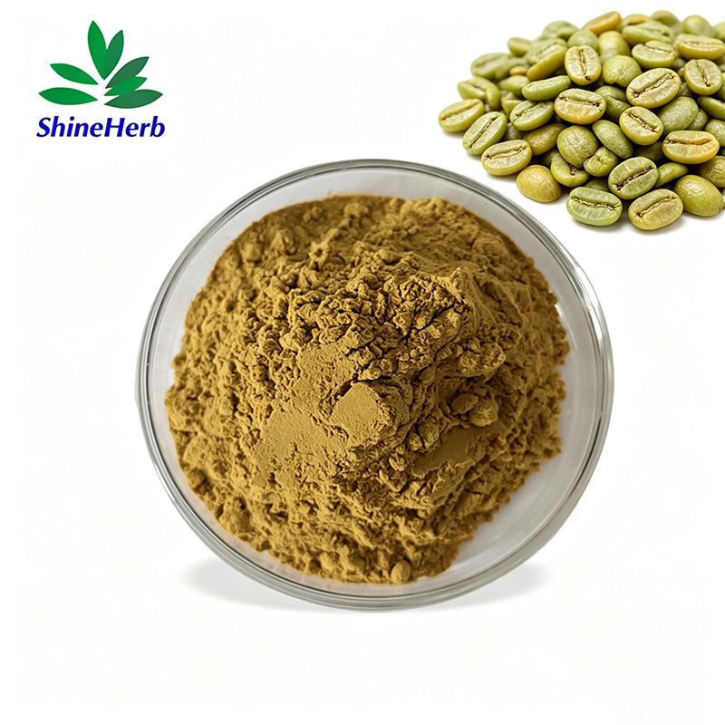 chlorogenic-acid-powder-1