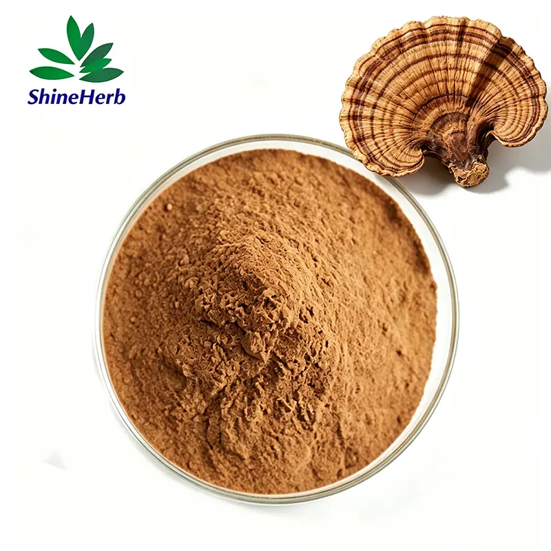 High-Quality Wholesale Cloud Mushroom Extract Coriolus Versicolor Mushroom Extract Food Grade Manufacturer, Supplier