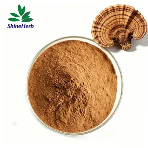 High-Quality Wholesale Cloud Mushroom Extract Coriolus Versicolor Mushroom Extract Food Grade Manufacturer, Supplier