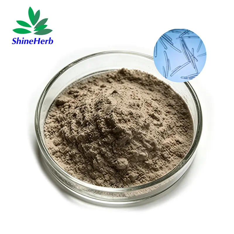 Buy High quality Hydrolyzed Sponge Cosmetics Raw Material Sponge Spicule Supplier, Exporters