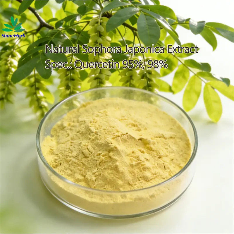 China High Purity Natural Quercetin 95% HPLC UV 98% - China Suppliers and Factory Direct Offer Manufacturers, Suppliers
