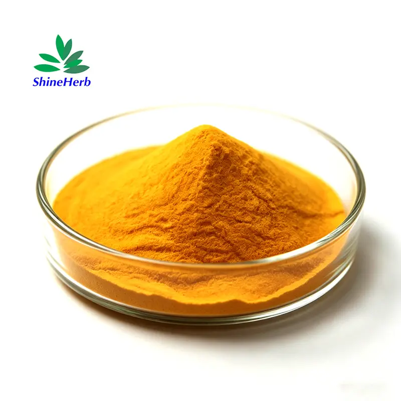 High-Quality High Purity 5%-80% Zeaxanthin Natural Marigold Extract Supplier Companies, Company