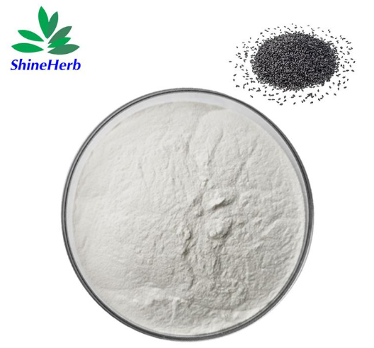 sesame-extract-1