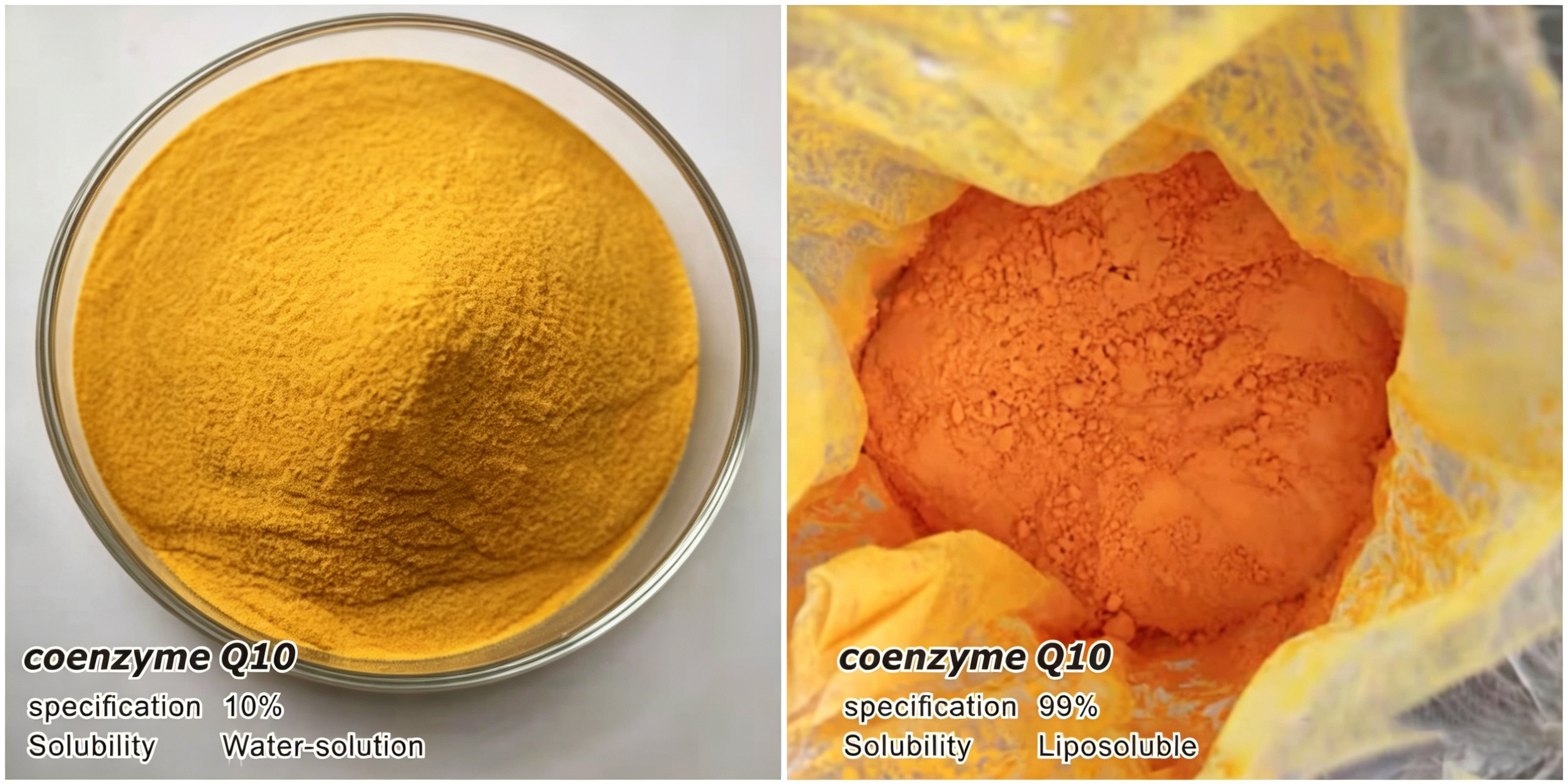 coenzyme-q10