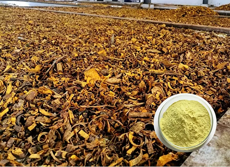 Buy Natural Plant Extract Berberine HCl 97% Berberine Sulfate 98% Company, Exporters