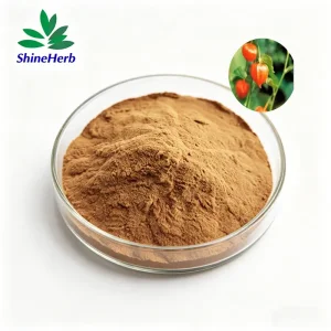 Best Energy Booster Ashwagandha Extract 5% Withanolides - Quality Supplier & Factory in China Exporter, Factories