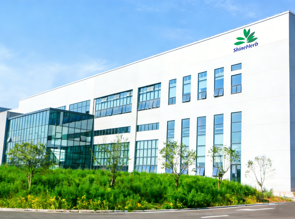 Shaanxi ShineHerb Biotech Co. Ltd. company overview and production facility