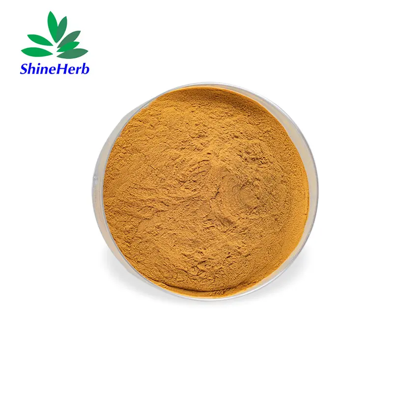 High-Quality Hot Sale Dodder Seed Extract Wholesale Cuscuta Seed Extract Powder Suppliers, Factory