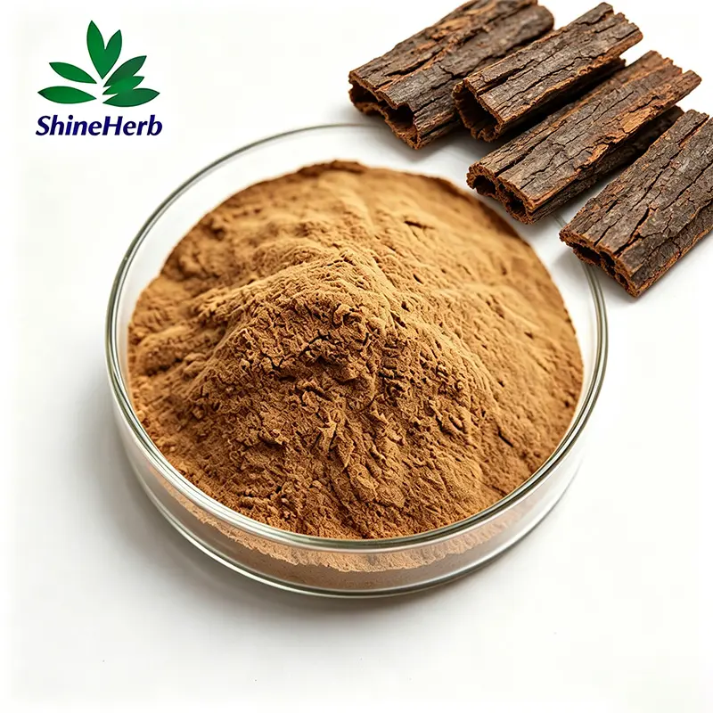 Wholesale Wholesale Pygeum Africanum Extract 25% Phytosterols For Men Health Supplements Companies, Company