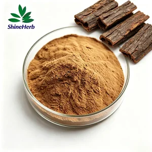 Wholesale Wholesale Pygeum Africanum Extract 25% Phytosterols For Men Health Supplements Companies, Company