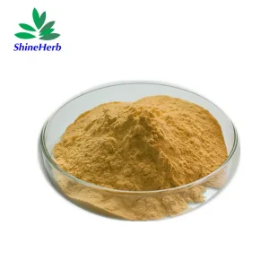 China Wholesale Gymnemic Acids Gymnema Sylvestre Extract Supplier, Exporters