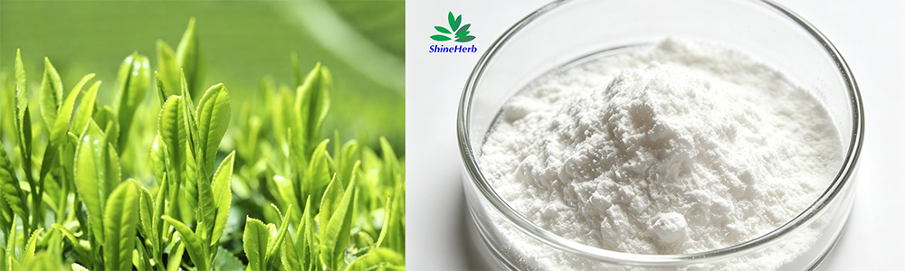 L-theanine Chemical Properties
