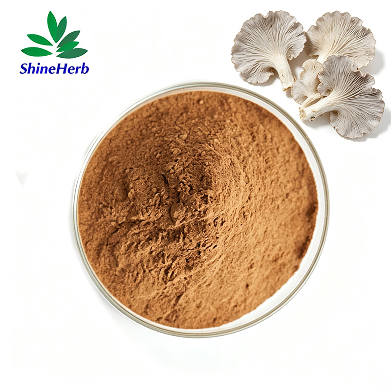 maitake-mushroom-extract-1