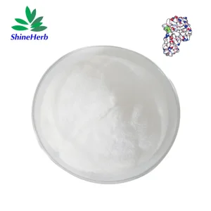 China Natural Lysozyme Powder from China Factory | Top Suppliers for Food Preservation Supplier, Factories