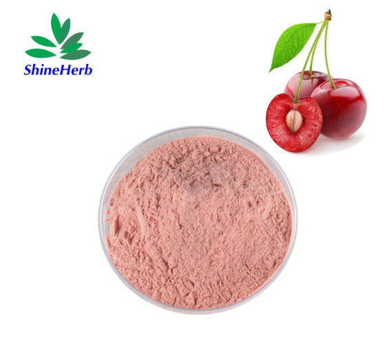 acerola-cherry-extract-1